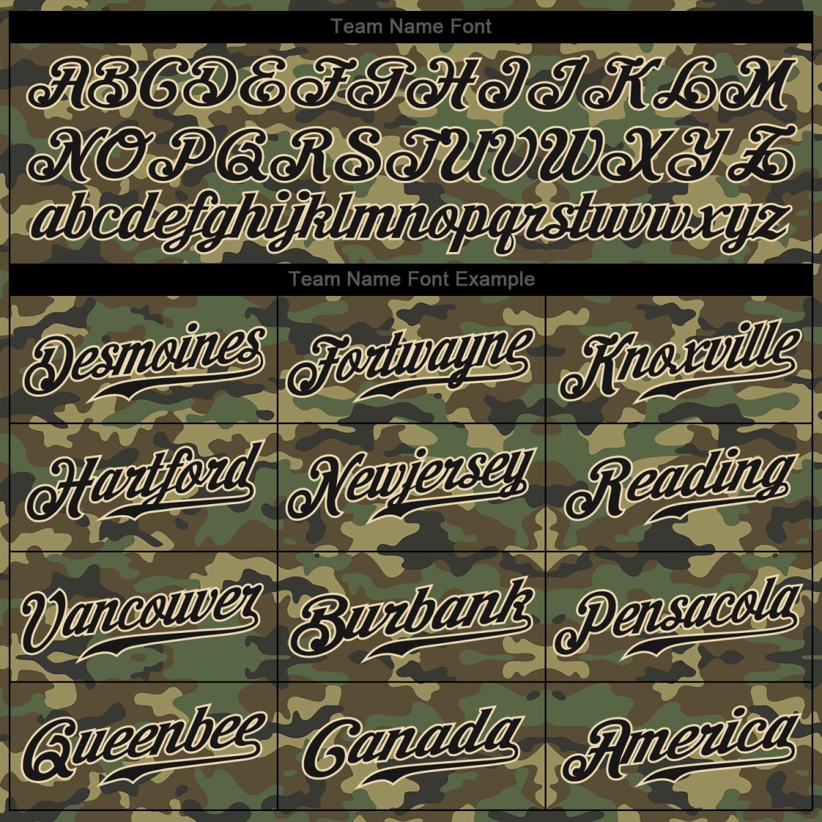 Custom Camo Black-Cream Performance Salute To Service T-Shirt